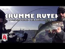 Zu ihnen gehören viele wichtige speisefische. Krumme Ruten Dorsche Gegen Den Drillentzug Youtube