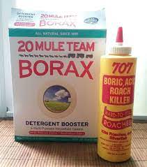 Boric acid and borax are actually very similar to each other. Get Rid Of Your Ants With A Sweet Diy Treat Pest Control Natural Pest Control Ants