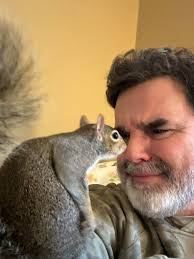 Introducing G4K's Chocolate Moose LOUIE X SQUIRREL