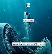 Check spelling or type a new query. Just Keep Swimming Just Keep Swimming Memes