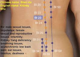 Pin On Chinese Pressure Points