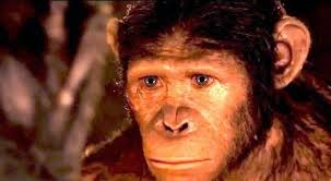 John Kenneth Muir's Reflections