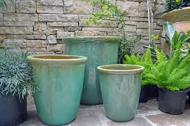 How To Stop Your Pots Getting Frosted - Gardening | Learning With Experts