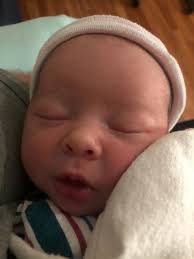 PRINCIPAL'S NEWSLETTER