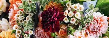 Creer Un Jardin De Fleurs A Couper Pour Faire Ses Bouquets Jardins Fleur Jardin Arbustes A Fleurs