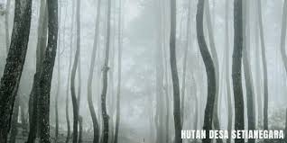 Jun 29, 2021 · woodland. 10 Tempat Wisata Kuningan Yang Keren Ciremai Cofee Co
