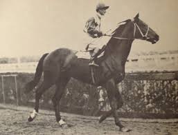 Comic Court Aus Dk B Br C 1945 Powerscourt Witty Maid 54 Starts 28 Wins 15 Placings Winner 1948 Vrc Melbourne Cup Winners Sport Of Kings Melbourne Cup