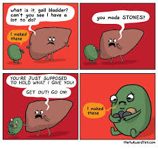 7 best kidney stone humor images in 2020 kidney stones i don t always pass kidney stones but when i do abusing pain this too shall pass it might pass like a kidney stone but it funny kidney stones pics demotivational posters kidney kidney stones what it s like when they come out wait i am passing a kidney stone cheezburger funny. Gallbladder Jokes