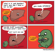 Symptoms include severe lower back pain a kidney stone is a hard object that is made from chemicals in the urine. Gallbladder Jokes