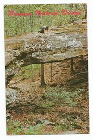 This natural geologic sandstone formation spans 90 feet across a ravine in a mature beech, oak and hickory forest. Pomona Natural Bridge Illinois Postcard 50s 60s