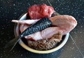 Is diamond dog food good for. Best Dog Food For Pitbulls Understanding Your Dog S Nutritional Needs