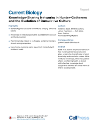 Image result for Thomandersia laurentii