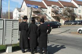 We did not find results for: Palm Tree Becomes First Official Ultra Orthodox Town In America The Times Of Israel