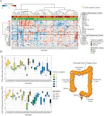 Cancer is a water sign, and so is associated with the phlegmatic temperament, which was understood to be cold and moist. Plos One Transcriptomic And Proteomic Intra Tumor Heterogeneity Of Colorectal Cancer Varies Depending On Tumor Location Within The Colorectum