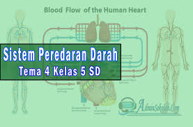 We did not find results for: Materi Ipa Sistem Peredaran Darah Tema 4 Kelas 5 Sd Kurikulum 2013 Admin Sekolah