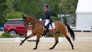 Horse scout has an extensive network of trusted buyers and sellers Oliver Townend Leads British One Two After Kentucky Dressage He S Reliable But Makes Me Work