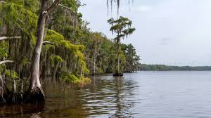 StreamLines: Understanding the importance of water