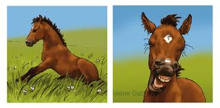 Sylviane Gangloff Illustratrice Illustrator Imagerie Du Poney Et Du Cheval Pony And Horse S Picture Book Il prend soin des chevaux à l'écurie : cheval pony and horse s picture book