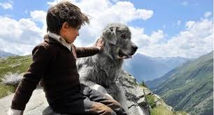 Kopekleri Konu Edinen En Iyi 12 Film Sinema Guncel Ve Ozgun Kultur Sanat Haberleri Murekkep Haber De