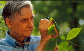 Scientist: E.O. Wilson: A Life in Nature by Richard Rhodes