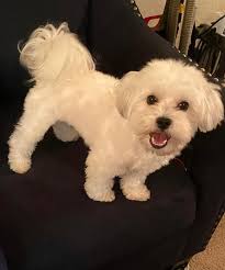 Ychwanegodd Khaieka Campbell lun newydd.