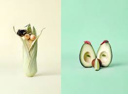 Contemporary Still Life Still Life Photography Fruit Photography Still Photography