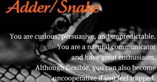 Celtic Animal Adder Snake February 18 March 17 Celtic Zodiac Signs Celtic Zodiac Astrology