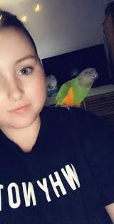 Dr Pepper Recipes and Nutrition Discussion