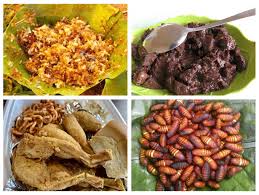 Dassana's veg recipes (popular as veg recipes of india) is a vegetarian food blog sharing indian veg recipes, world vegetarian recipes. Bizarre Foods From Indian States That Will Surprise You The Times Of India