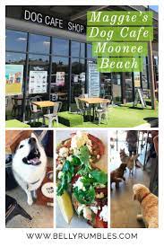 Maggie S Dog Cafe Your Dog Will Love It Dog Cafe Pet Cafe Dogs