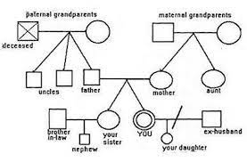 Then click on the button 'shapes'. How To Make And Use A Family Genogram Map Family Genogram Genogram Template Family Therapy Activities
