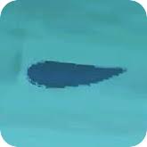 Coelacanth is one of the best fish to catch in animal crossing new horizon. Coelacanth Shadow Size Price Location And How To Catch Animal Crossing New Horizons Switch Game8