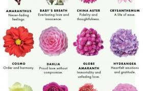 Pin On Flowers