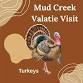 Mud Creek at Valatie Playgroup: Turkeys  — Family event image