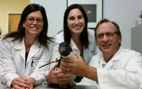 Yoakum opened his own practice at heritage in 2005. Veterinary Ophthalmology Orlando Animal Eye Clinic Maitland Animal Eye Specialists Fl Animal Eye Associates P A