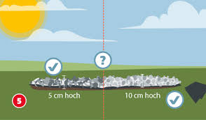 Elemente aus kies werden im garten immer beliebter. Kiesbeet Anlegen Pflegeleicht Und Schon Hagebau De