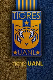 Nos coups de coeur sur les routes de france. 440 Tigres Campeon Ideas In 2021 Mike Wallace Soccer Wreath Tiger Artwork