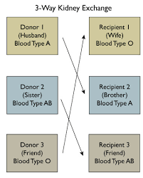 paired kidney exchange johns hopkins comprehensive