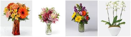 Bittersweet flowers have five petals. The 8 Best Options For Flower Delivery In La Crosse Wisconsin 2021