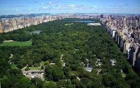We may earn commission on some of the items you choose to buy. Central Park The Beauty Of New York By Manuel Margarito Eng 1101 Composing Abstractions
