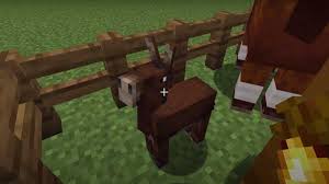 1.17, also known as animals update, is an update which added several animals mobs in several overworld biomes. All Tameable Animals In Minecraft 1 17 Full List Gamer Tweak