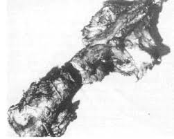 Byford dolphin incident video download. Remains Of Diver Dismembered In The Byford Dolphin Explosive Decompression Accident Album On Imgur