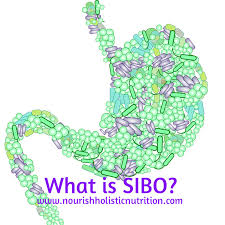 what is sibo nourish holistic nutrition