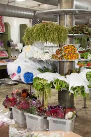 Partial data by infogroup (c) 2021. Wearable Planter Blog Wearable Planter