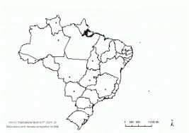 São vários mapas do brasil em diversas formas para as crianças pintarem com a cor que. Mapa Do Brasil Para Colorir 2021 20 Imagens Download Gratis