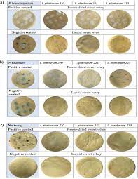 If you have any question about repairing write your question to the message board. Whey Fermented By Using Lactobacillus Plantarum Strains A Promising Approach To Increase The Shelf Life Of Pita Bread Journal Of Dairy Science