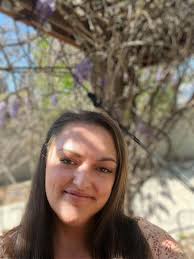 Appreciation and Beauty of Wisteria in the Evening