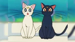 Kucing lucu imut bergerak baik untuk wallpaper hp smartphone, tablet, dp bbm, wa dan profile dan wall facebook. Inilah 7 Kucing Anime Yang Paling Lucu Dan Imut Berita Jepang Japanesestation Com