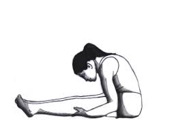 Personal Trainer Yoga All Asanas