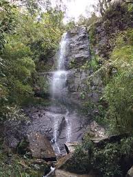 Espécie de peneira de fibra vegetal, que serve para peneirar a farinha de mandioca, o milho, o arroz etc. Urupema Fotos Besondere Urupema Sc Bilder Tripadvisor